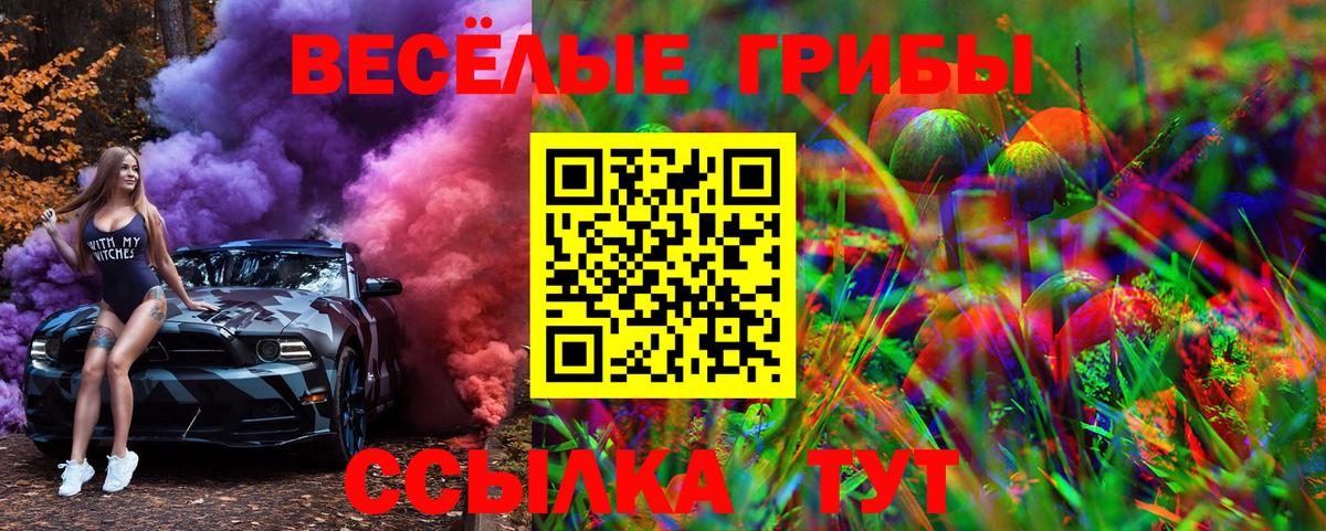 Галлюциногенные грибы Psilocybe  Галлюциногенные грибы Cubensis  Вход с VPN  Богданович 