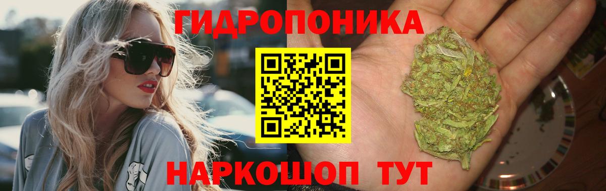 Бошки марихуана гибрид Богданович